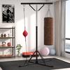 Punching Bag Stand, Height-Adjustable, with Speed Ball, Metal Frame, 160L x 145W x 175-220H cm, Black