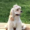 Puppy Straw Hat Dogs Sunbonnet with Ribbon Bow Supplies Collar Flower Hat Summer Hat with Strap Lace Belt