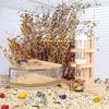 Hamster Bathroom House Sandbox Full Transparent Urine Sand Basin Golden Bear Supplies Sand Bath Container Hamster Bathroom