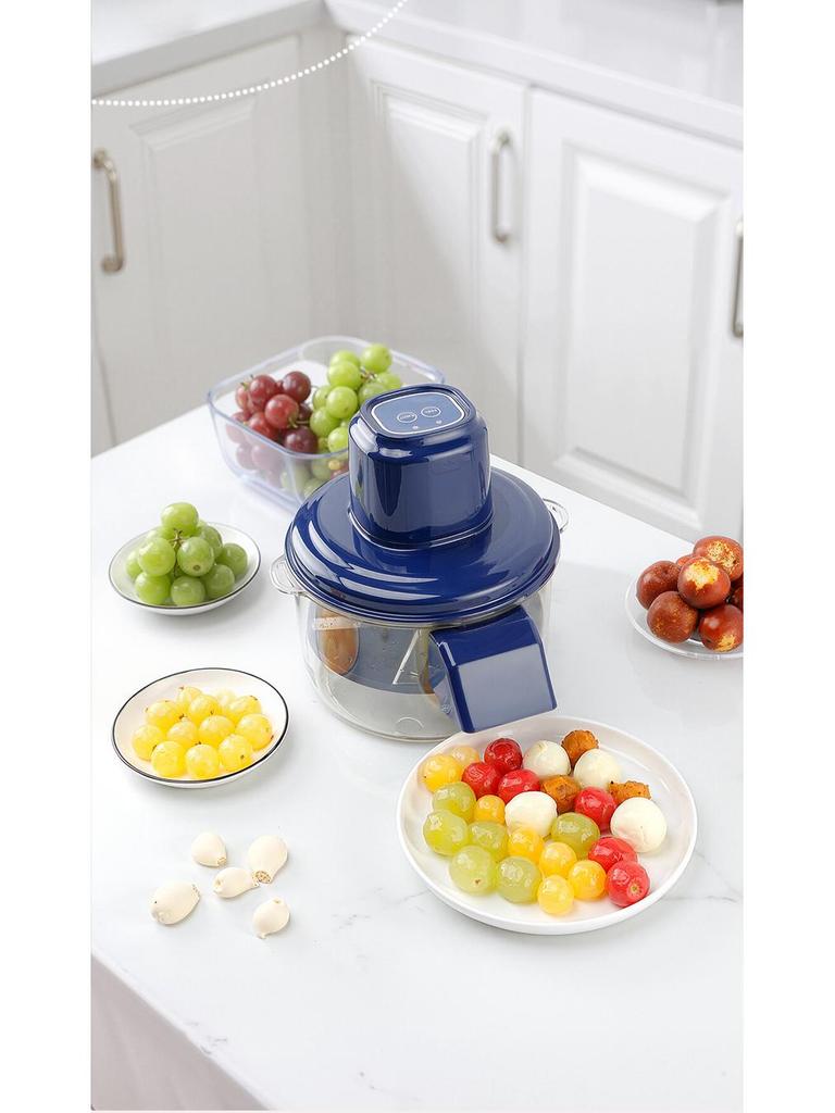 Automatic Fruit, Vegetable & Garlic Peeler Machine