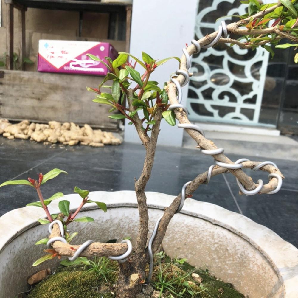 Plant Modelling Tree Styling Orchard Garden Supplies Fastener Tool Training Wire Bonsai Wires