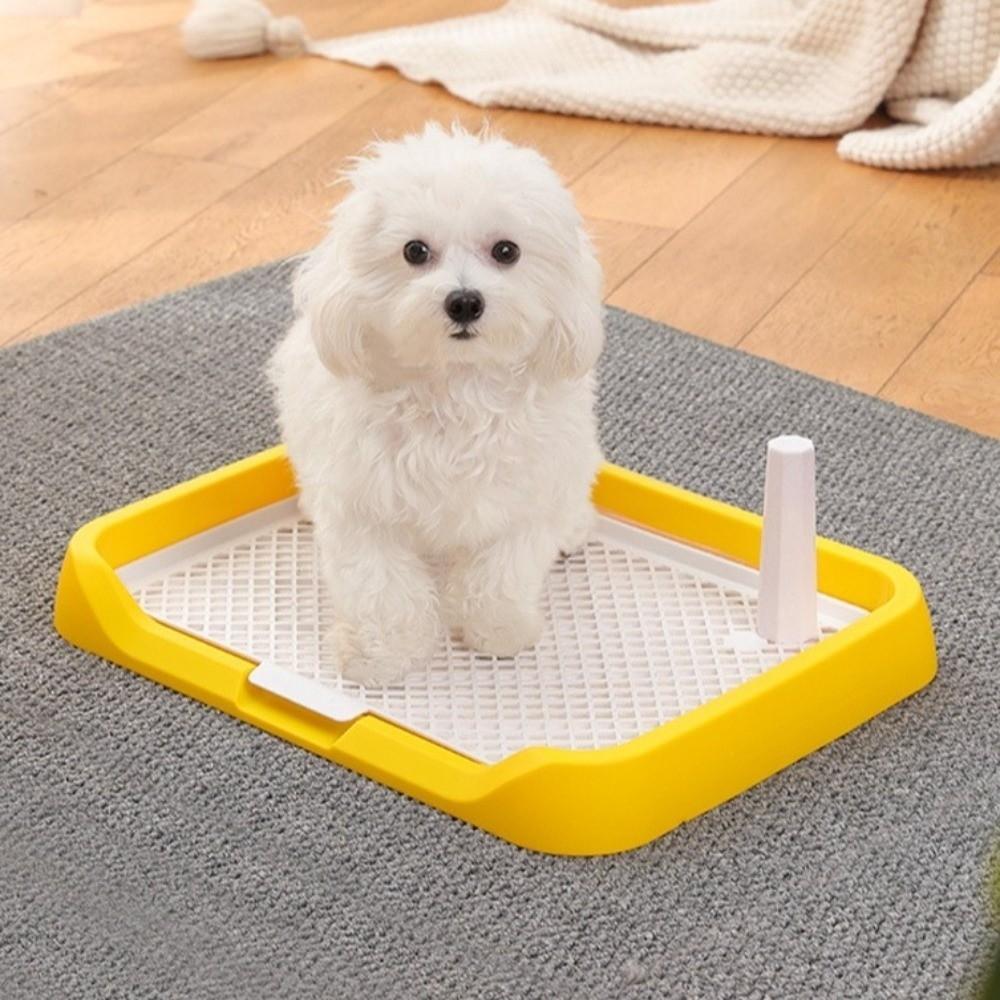 Removable Net Dog Training Toilet Mesh Dog Potty Trainer Dog Potty Toilet Training