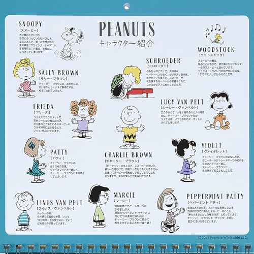 Sanrio Wandkalender M 2025 Snoopy Wandbehang 452734