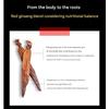 Jayeongwan 6-jähriger koreanischer roter Ginseng EnerTime Sticks (10 g x 10 Sticks) (3 Optionen)
