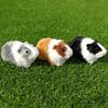 Bonecas e peluches – Peluches