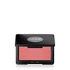 Make Up Forever [NEW] Artist Blush 4g