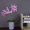 Fnize Orchid Leaves Artificial Phalaenopsis Stems Leaf Faux Cymbidium Flower Foliage Green Real Touch Latex Bulk 8 Inches 2pcs