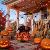 Halloween Porch Goose Costume Dress with Hat Festive Yard Decoration Outfit Suitable for Large Outdoor Goose or Bird Holiday Display