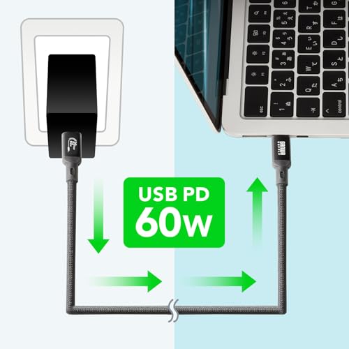 SANWA SUPPLY USB 20Gbps Type-C Cable (PD60W, 3m) KU-20GCCP6030