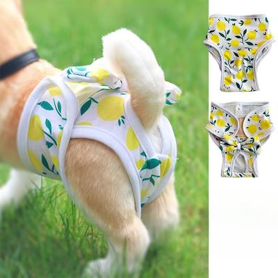 Pet Menstrual Pants Set Reusable Dog Diapers with Polyester Dog Underwear Reusable Pet Period Panties