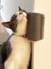 1pc-Small Wall Corner Fixed Arch Cat Grooming Device, Hair Removal and Itching Relief Massage Brush