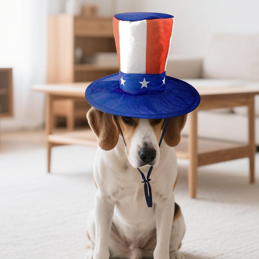 Pet Hat, Dog Cat Headwear, Cat Headgear, Pet Supplies,