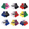 ANOTHERBOXER Unisex Boxing & Muay Thai Training Shorts