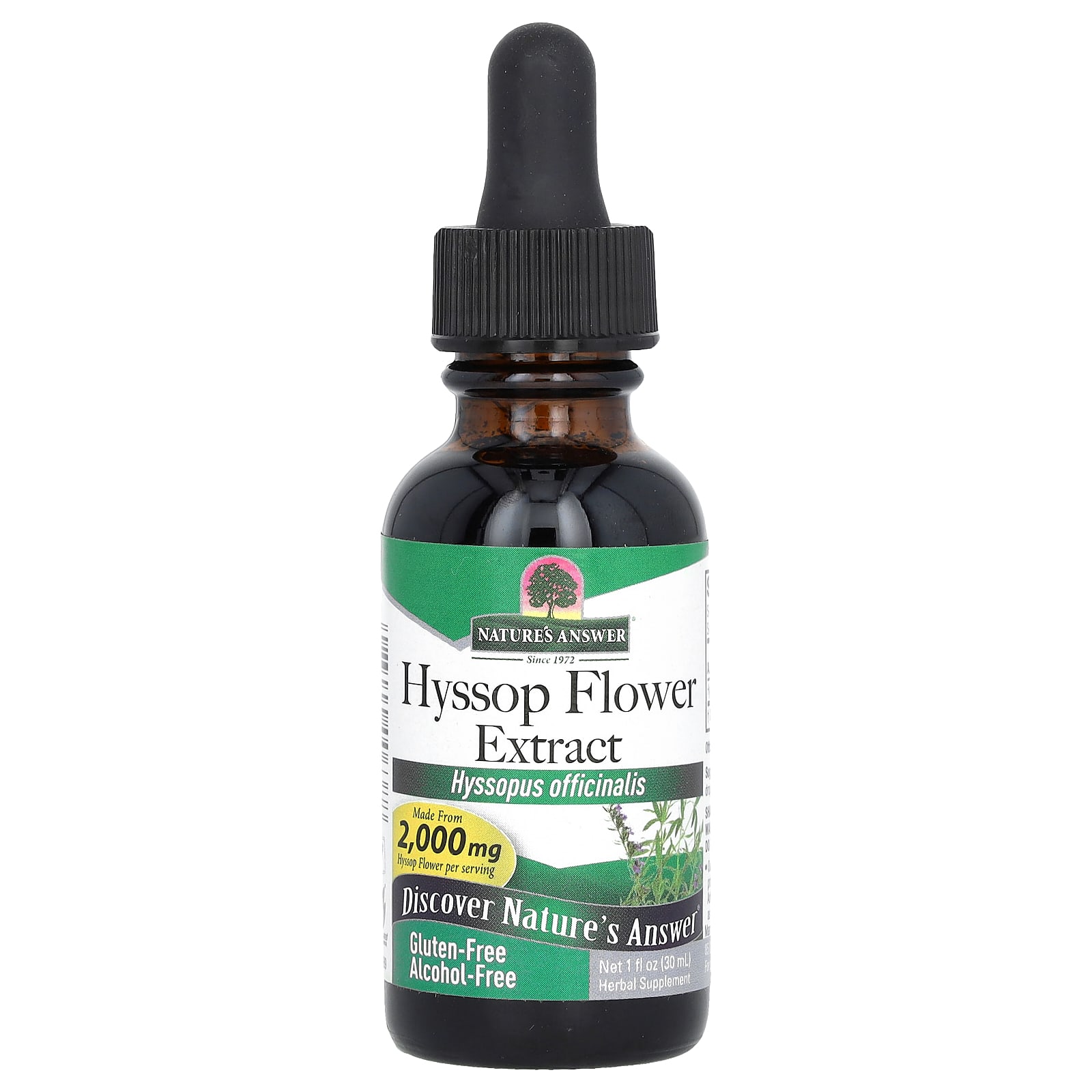 

Nature S Answer, Hyssop Flower Extract, Alcohol Free, 505Mg, 30Ml(1Fl Oz)