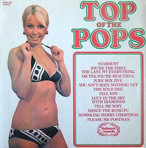 

LP Record UNKNOWN ARTIST - Top Of The Pops Vol. 42 SHM885 Hallmark Record 1974 UK Rock Used