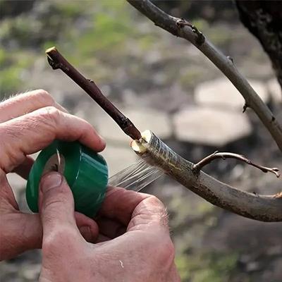 1pc Eco-Friendly Biodegradable Grafting Tape Graft Membrane Gardening Bind Belt Plant Grafting Specific Film Self Mucosa
