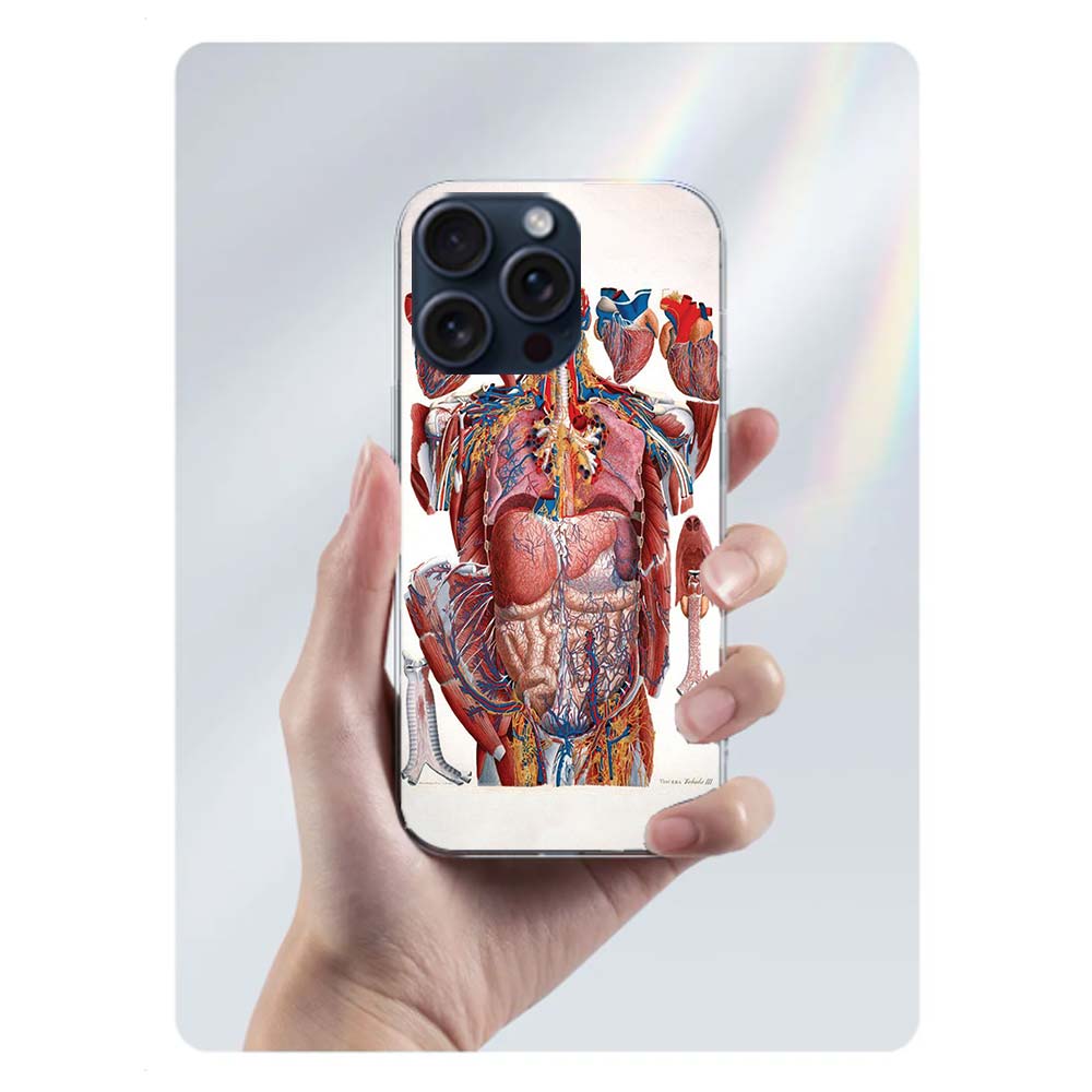 Medizinische menschliche Organe Gehirn Capa Handyhülle Für Iphone 17 Air 16 Pro Max 15 12 Pro 14 Plus 17E 16E 11 13 Mini Hüllen Fundas