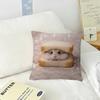 Funny Sad Hamster Emoticon   Pillow Cover Design cushion Cover decor Holiday Decorati