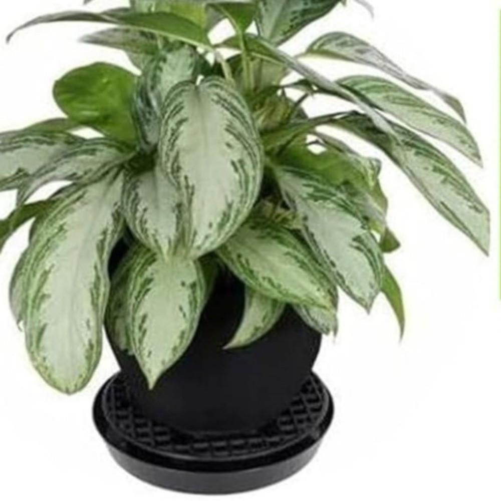 Adjustable Plant Grow Bags Mesh Holes Flowerpot Mat Self Watering Plant Tray  Indoors