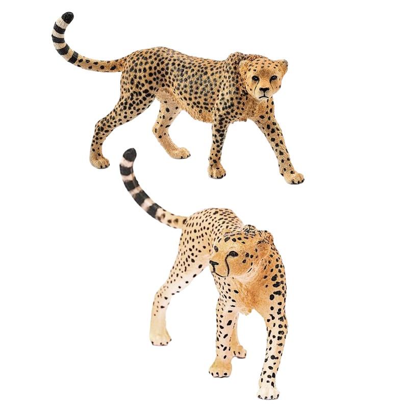 Statue Réaliste Faune Tête de Guépard Vers le Haut Léopard Nébuleux Léopard Africain Léopard Indien Collection Jouet 10*2.5*6.5cm)