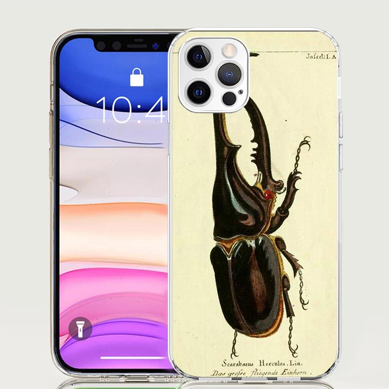 Bugs Bees Scientific Decomposition Phone Case For iPhone 17 Air 16 15 Plus 11 14 Pro Max 13 Mini 12 7 8 + SE Pattern Art Customi