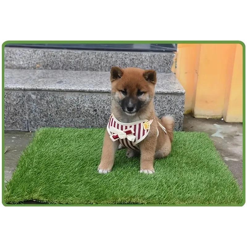 Pet Urine Pad Dog Special Absorbent Pad Anti-Odor Deodorizing Thickened Indoor Training Toilet Pad Large Size