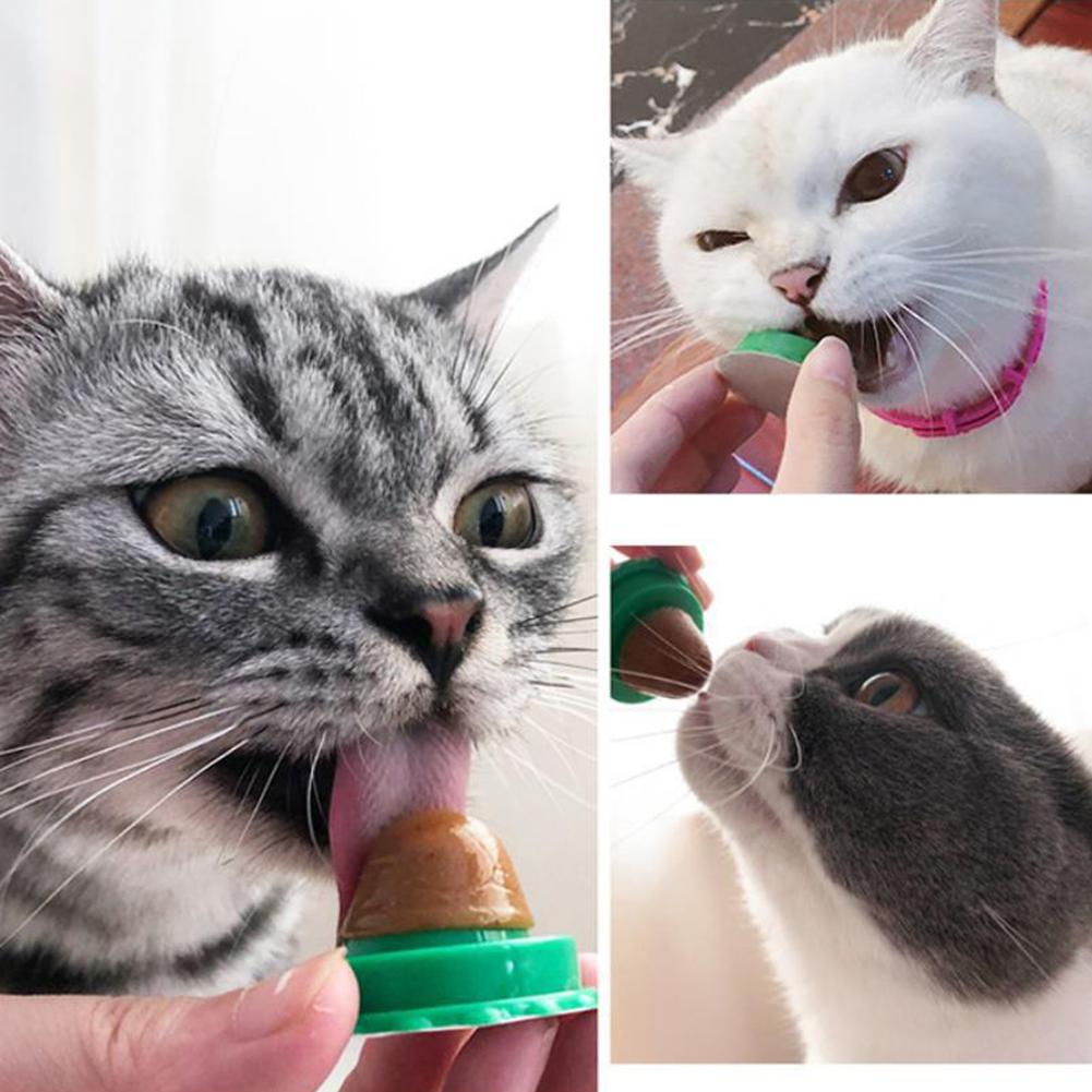 5/10 Peças Bola de Catnip para Parede Nutrição Saudável Lambível Catnip para Gatos Bola de Açúcar para Gatos Petisco Guloseima em Bola para Ajudar na Digestão