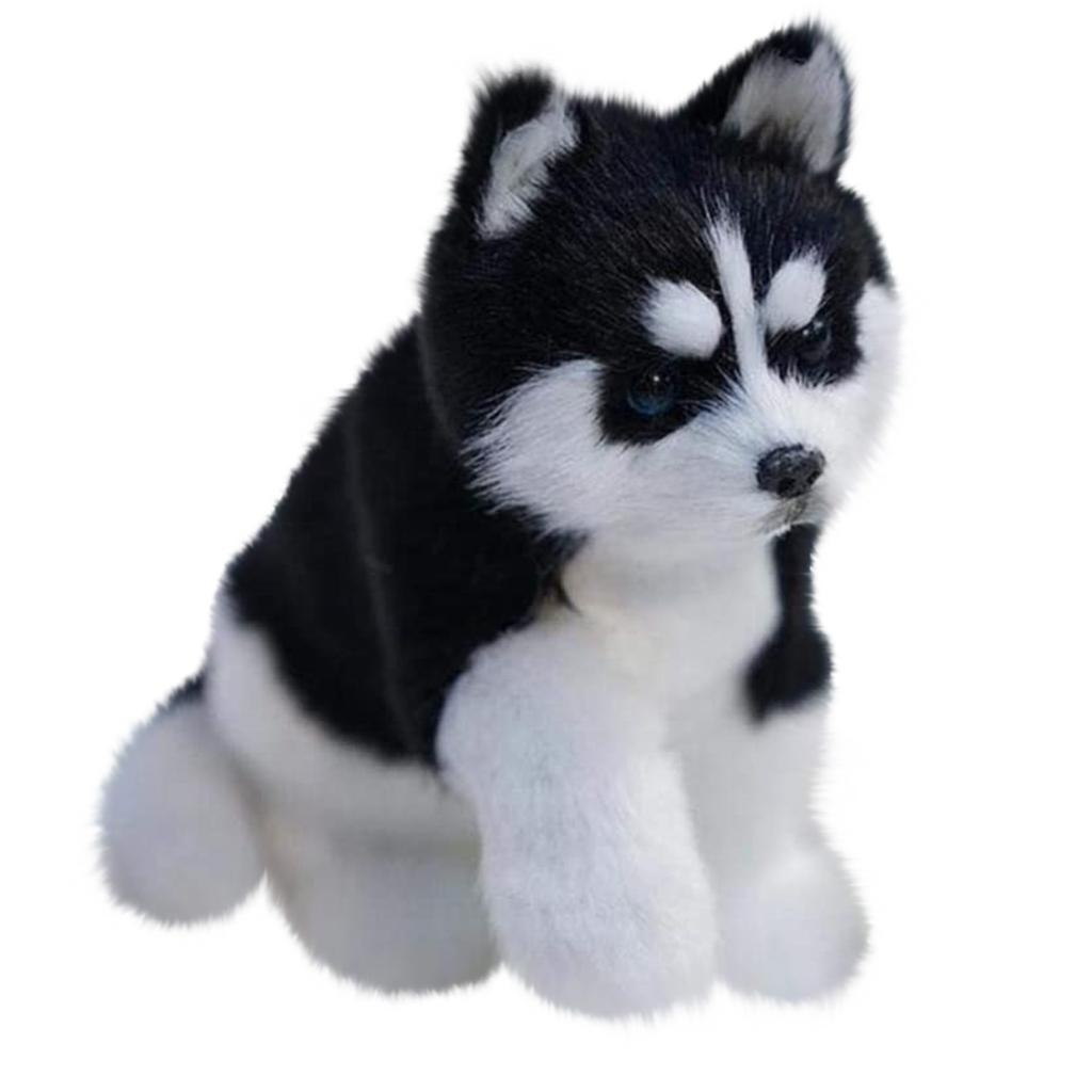 Hus Ky Dog Toys Plush Toys Simulation Models Children's Gifts