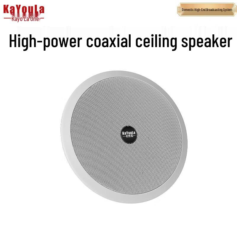 KaYouLa Professional Ceiling Audio Speakers and Horns (CN version)