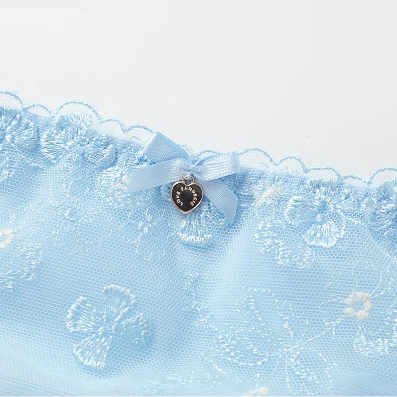 Fandecie Women's Low-Rise Elastic Mesh Briefs