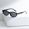 Fashion Trend TR Sunglasses Women's Advanced Sense Small Frame Personalized UV Protection Cat Eye Sunglasses Men's Sunglasses Versatile