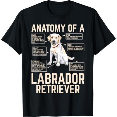T-shirt Anatomie d'un Labrador Retriever