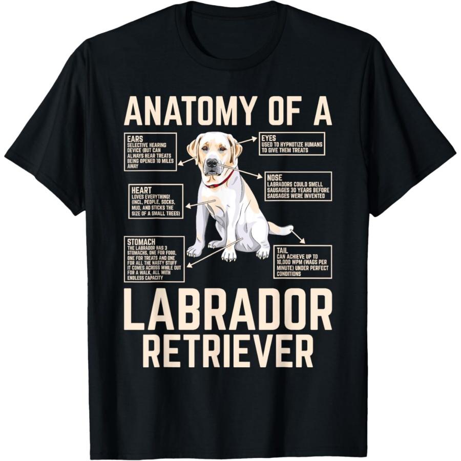 Анатомия лабрадора-ретривера футболка S