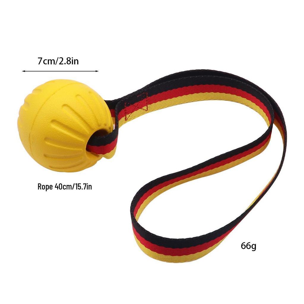 EVA Teething & Training Ring Set for Large Dogs - Bite-Resistant Frisbee & Toys for Border Collies