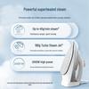 Philips Handheld Steam Iron DST5010/10 CN plug (adapter included)