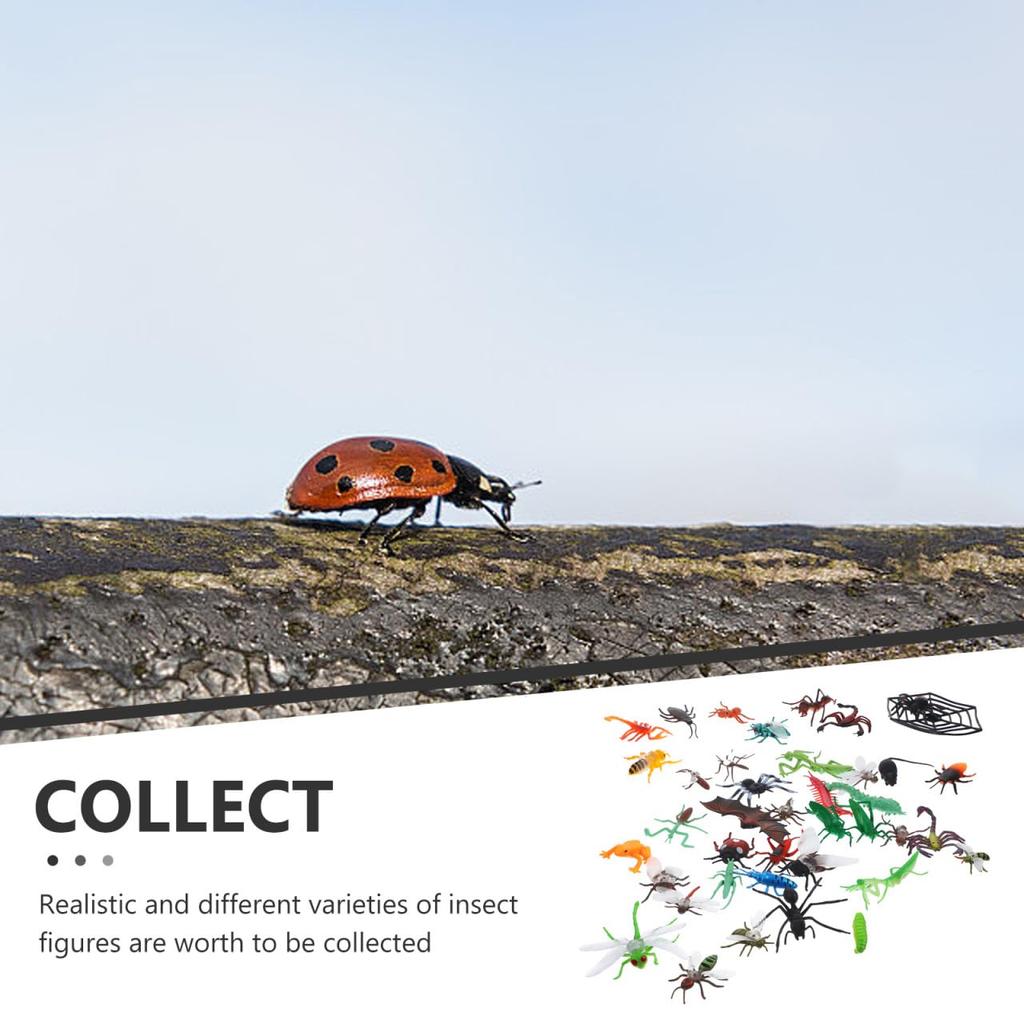 STOBOK 39 Pieces Miniature Insect Toys, Realistic Bug Figures, Educational Insect Models, Collectibles, Perfect for Party Decorations