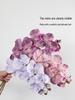 White Phalaenopsis Artificial Floral Arrangement - Realistic High-End Decorative Accent