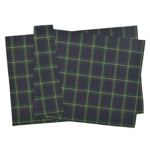 COLORFUL CANDY STYLE Placemats (40cm x 60cm), Water-Repellent, No-Iron, Set of 2, Tartan Check and Dark Green, Water-Repellent, Lightweight, Stain-Res