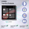 Graffiti Smart Home 4\" Control Screen with Zigbee Gateway & Alexa Speaker