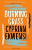 Burning Grass by Cyprian Ekwensi Paperback Book 9781035906017