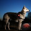 Pet Dog Light for Night Walking Waterproof Collar Lamp Lightweight Portable Safety for Dogs Anti-Lost Night Vision