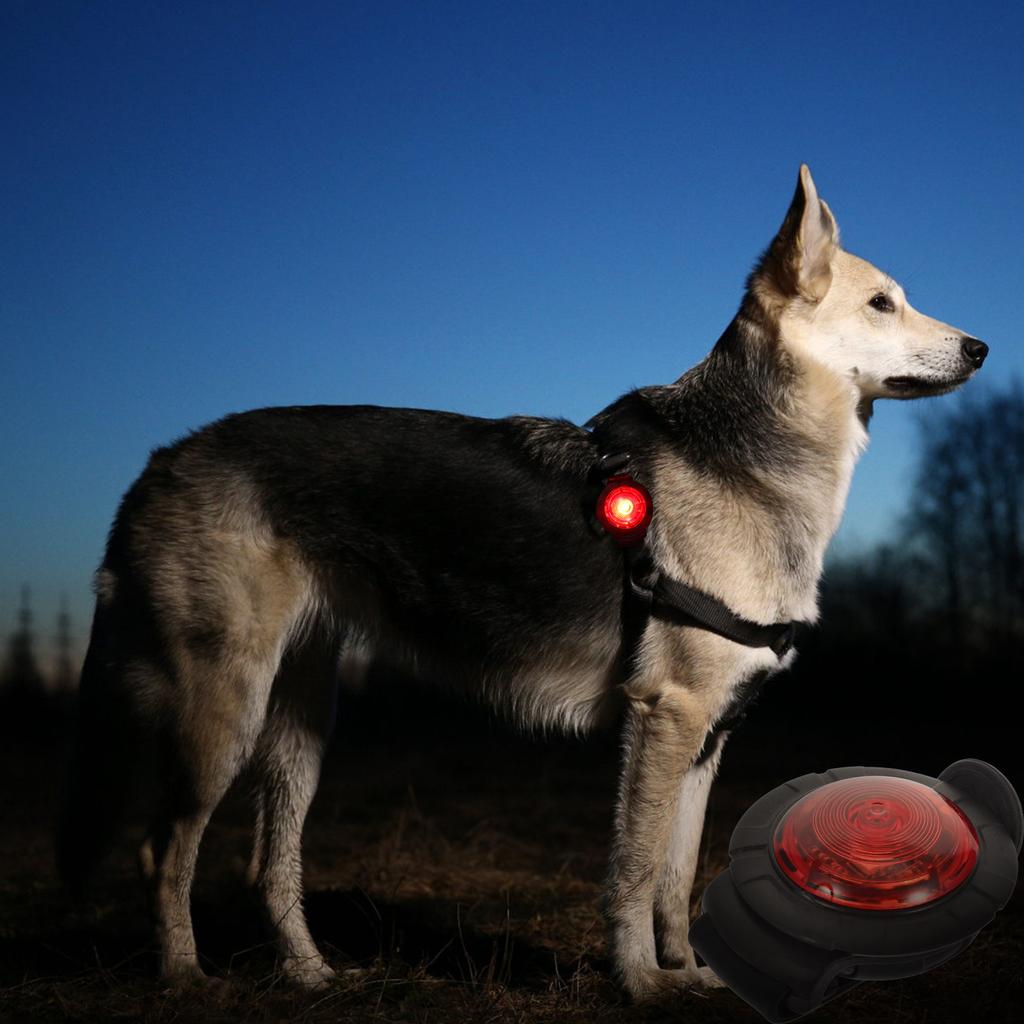 Pet Dog Light for Night Walking Waterproof Collar Lamp Lightweight Portable Safety for Dogs Anti-Lost Night Vision