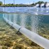 Aerator Hose Flexible Perforated Aeration with Fine Openings RollFriendly for Water Oxygenation
