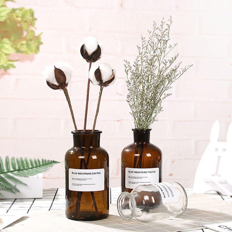 Large Retro Transparent Glass Vase for Pothos and Dried Flowers - Tabletop Home Decoration