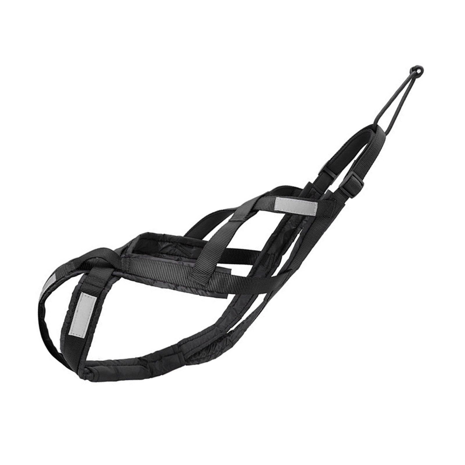 

Регулируемая шлейка для собак для крупных пород, светоотражающая нагрудная шлейка для питомцев для бега, езды на велосипеде и катания на лыжах, для занятий спортом на открытом воздухе XL чёрный