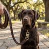 Guinzaglio in Vera Pelle di Mucca per Cani Cinturino Largo Guida da Pastore Viaggio Escursionistico all'Aperto