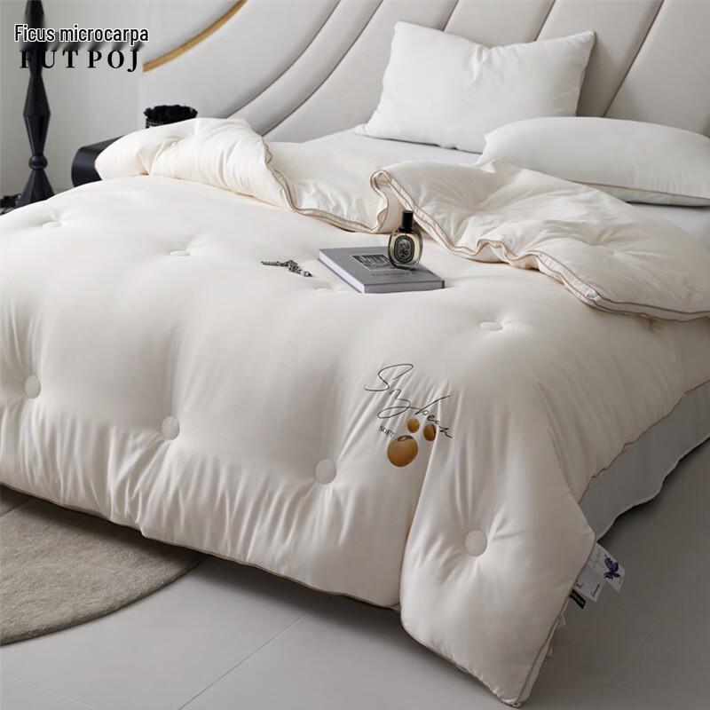 Yiyiai Soybean Protein Winter Quilt