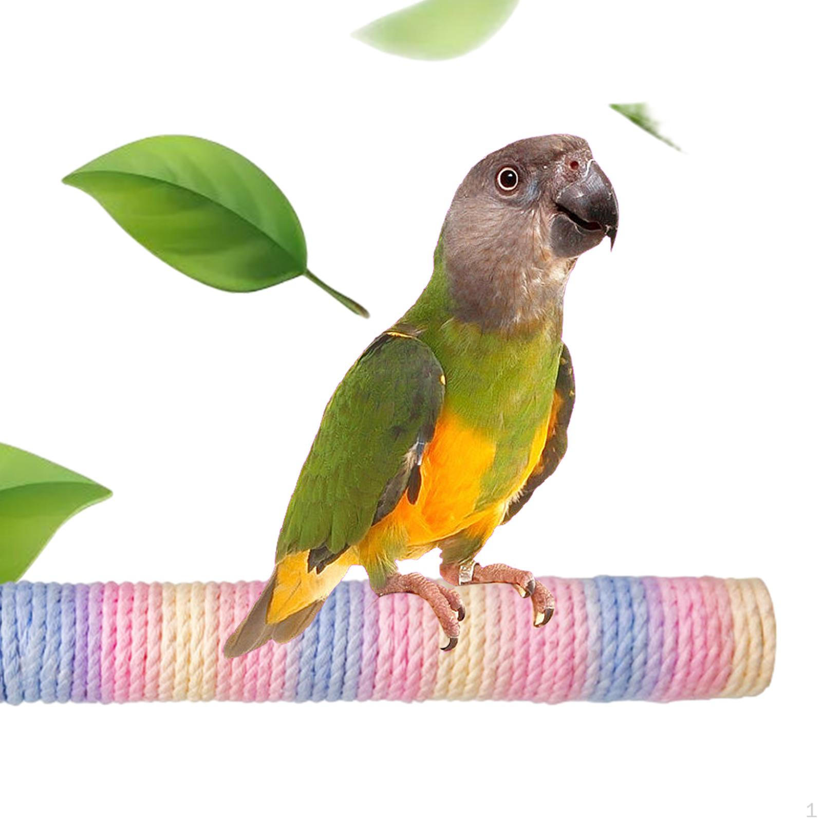 Pet Parrot Perch Parakeet Cage Platform Accessories Toys Bird Stand Pole Bite for