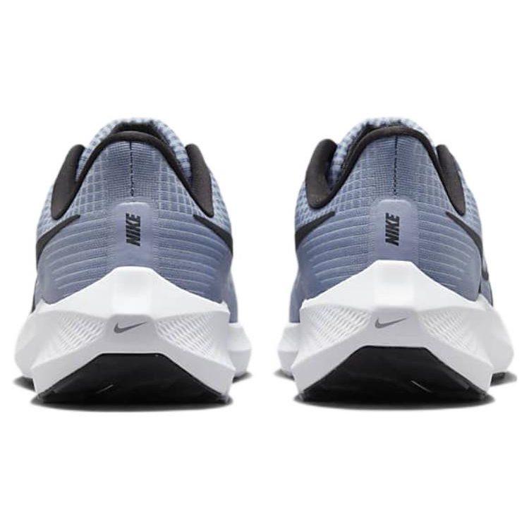 Nike Air Zoom Pegasus 39 Ashen Slate DH4071-401