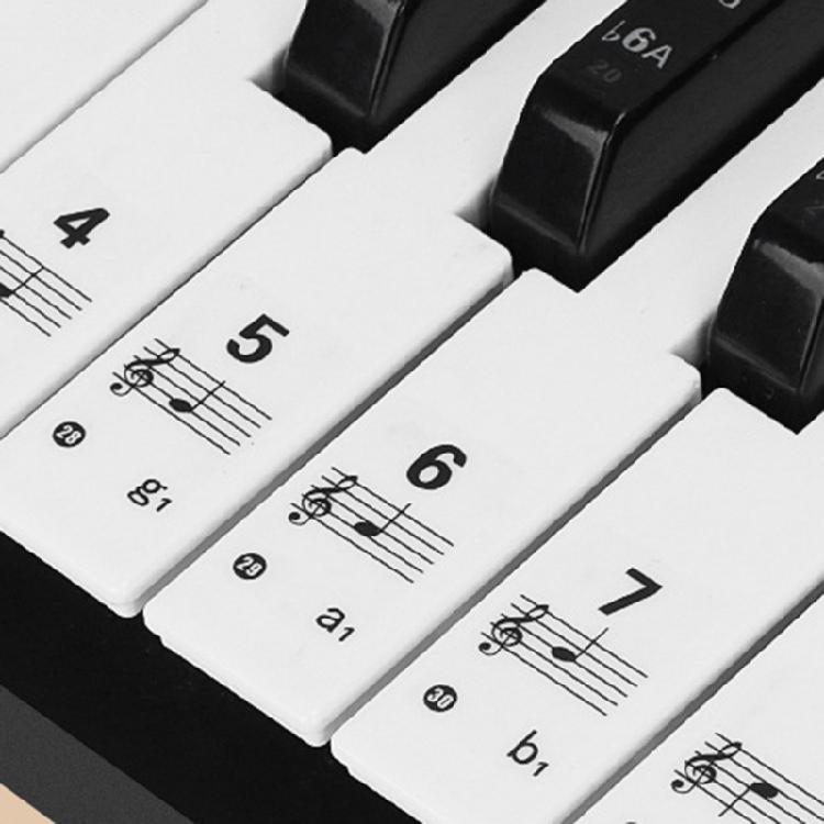 Piano Keyboard Stickers Colorful Bigger Letter Removable for 88/61/54 Key